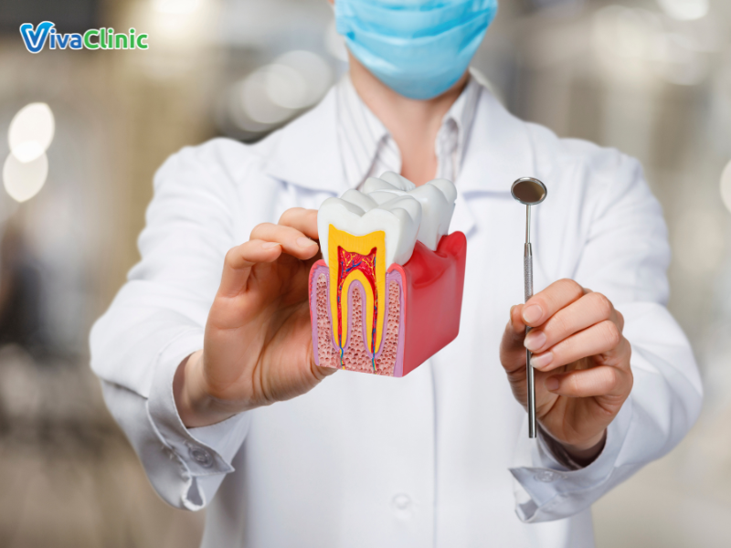 Yếu tố quan trọng ảnh hưởng đến giá bọc răng sứ sau khi lấy tủy