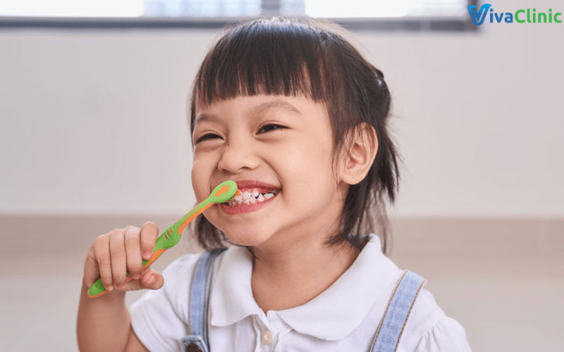 Thay bàn chải định kỳ giúp trẻ bảo vệ răng miệng hiệu quả hơn